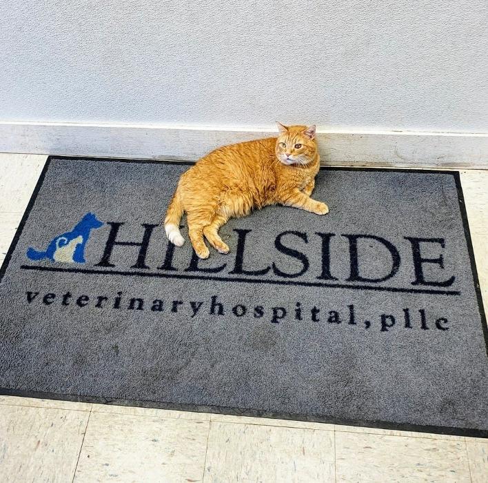 Hillside Veterinary Hospital - Charles Town, WV