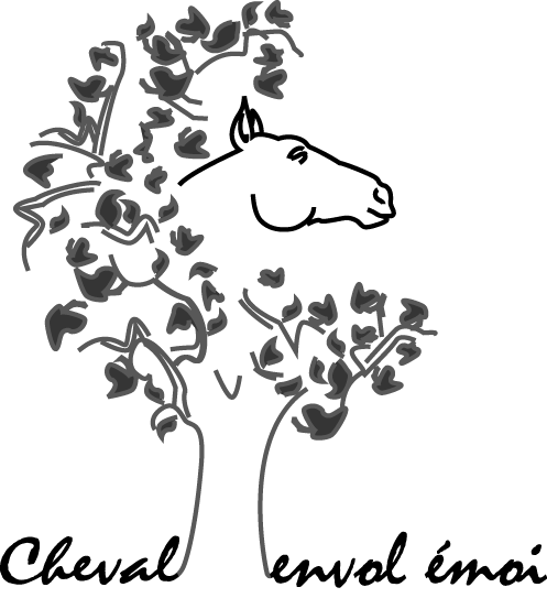 Cheval Envol Emoi