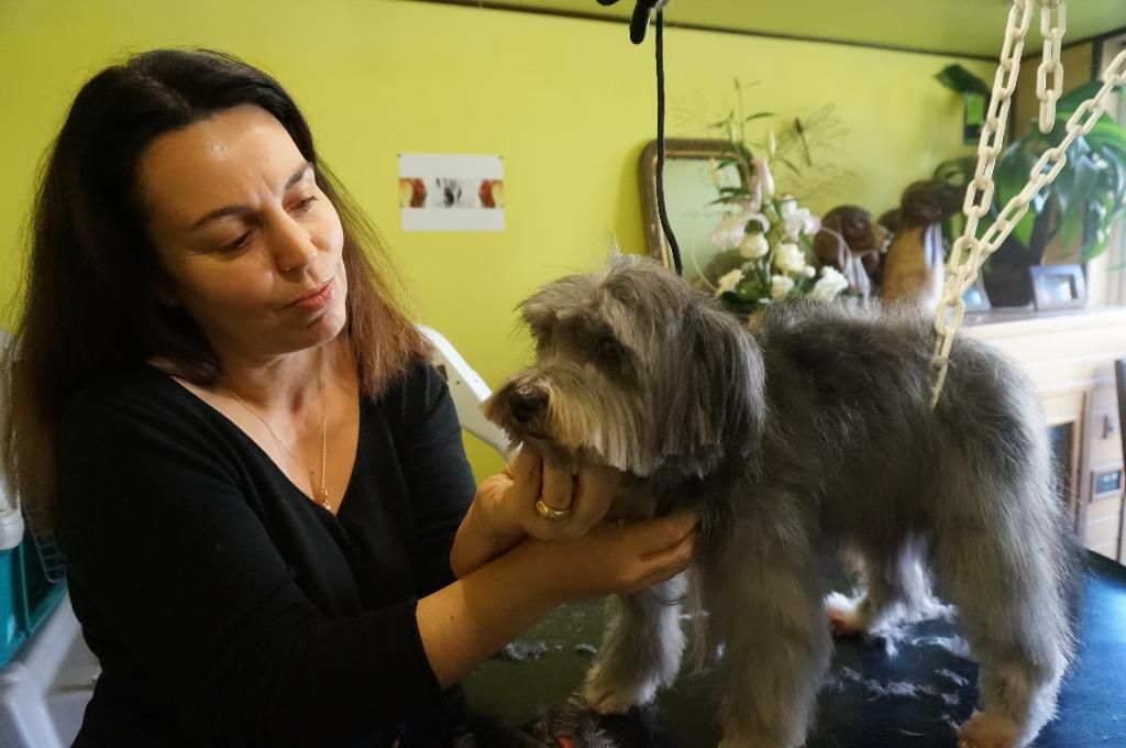 galerie image galerie image