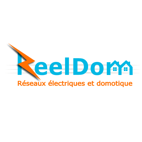 Reeldom électricité (production, distribution, fournitures)