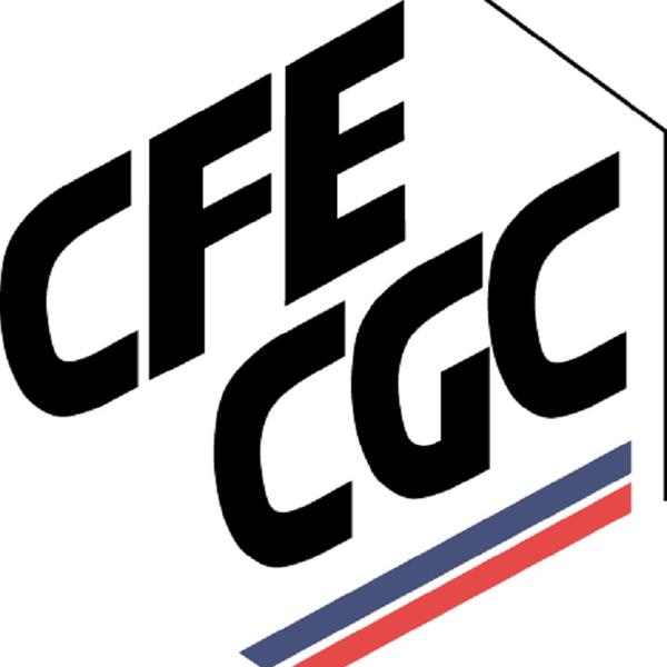 CFE-CGC INDRE ET LOIRE UD 37