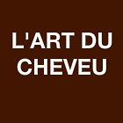 L'ART DU CHEVEU