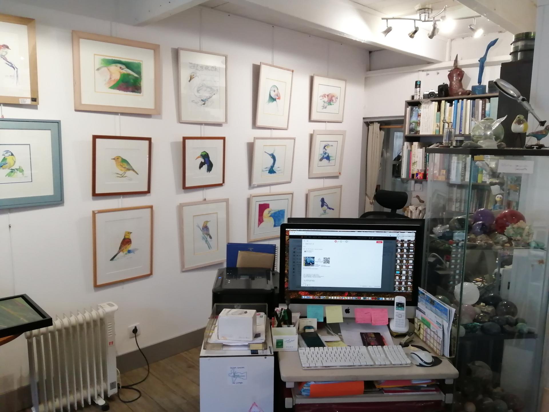 galerie image