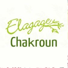 Chakroun Elagage Expert