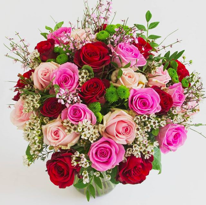 Blumen Risse GmbH & Co. KG in 33602, Bielefeld