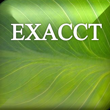 E.X.A.C.C.T Expertise Comptable expert-comptable