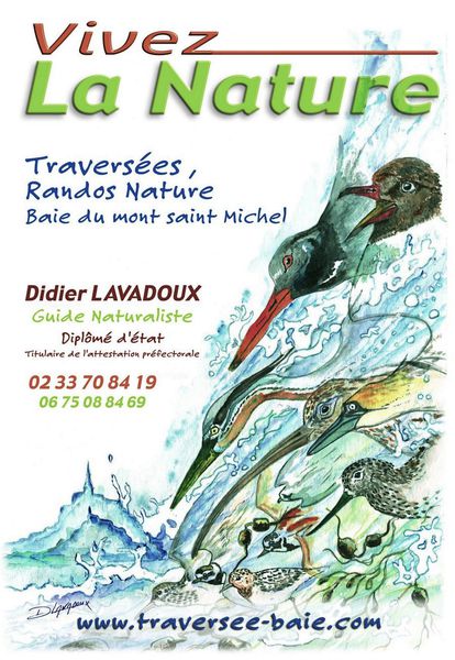 AAA Didier Lavadoux traversée de la baie du mont saint Michel agence de voyage