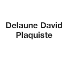 Delaune David Expert