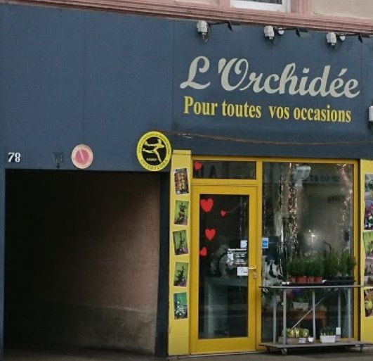 galerie image galerie image