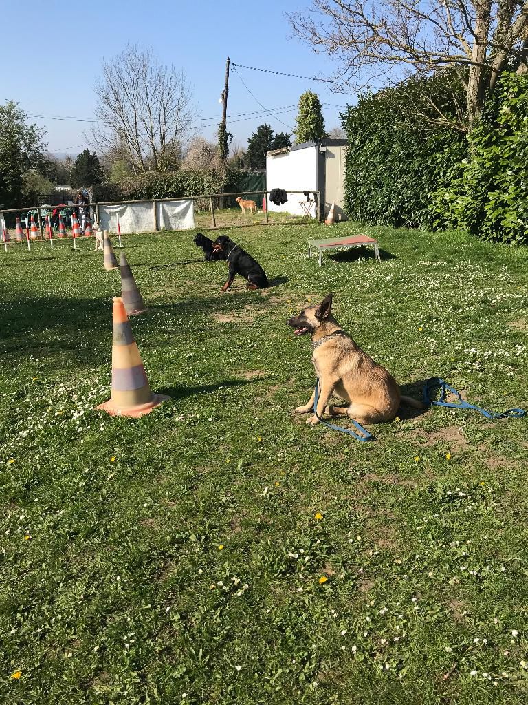 galerie image galerie image