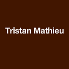 MONSIEUR TRISTAN MATHIEU Expert