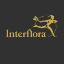 Les Fleurs de la Fontaine