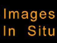 Images In Situ graphiste