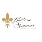 Chateau De Magneux Haute Rive théâtre et salle de spectacle