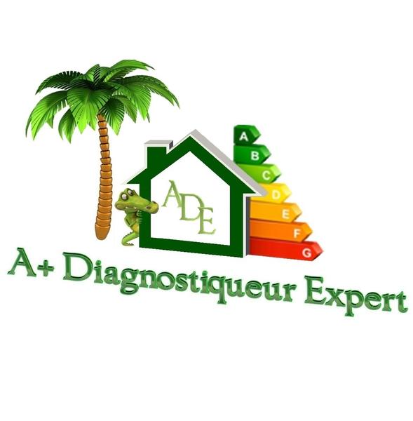 A+Diagnostiqueur Expert Expert
