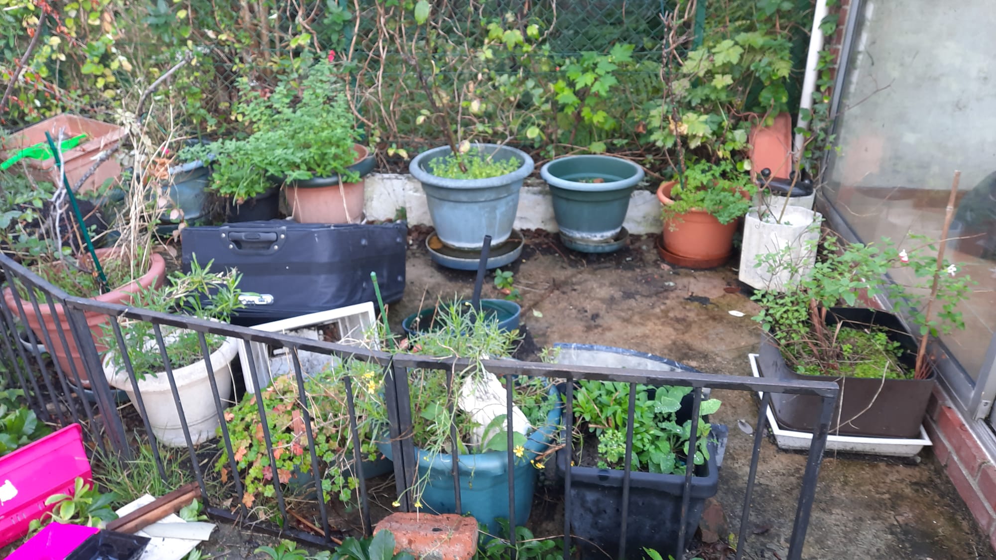 Miniature de la galerie