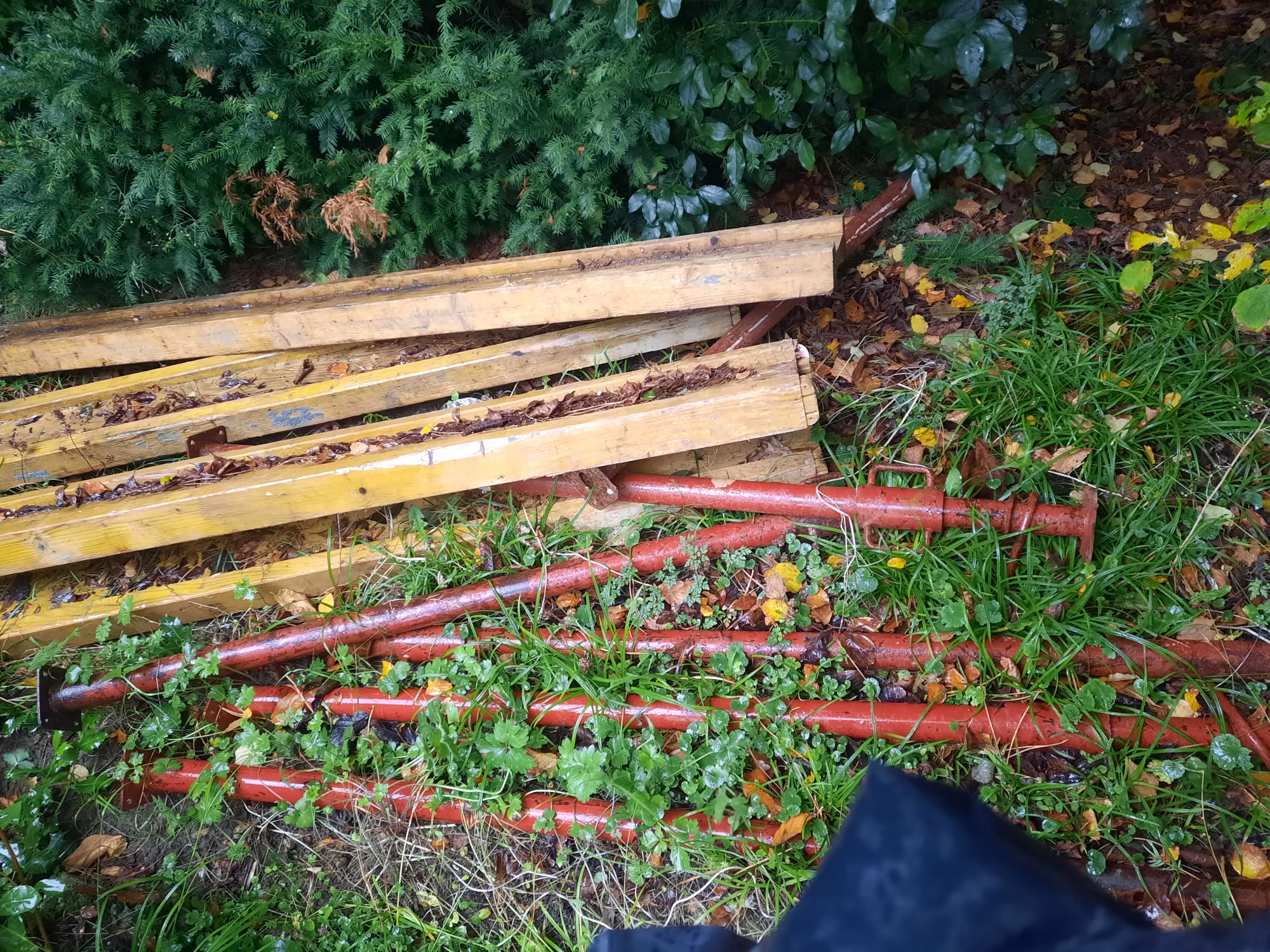 Miniature de la galerie