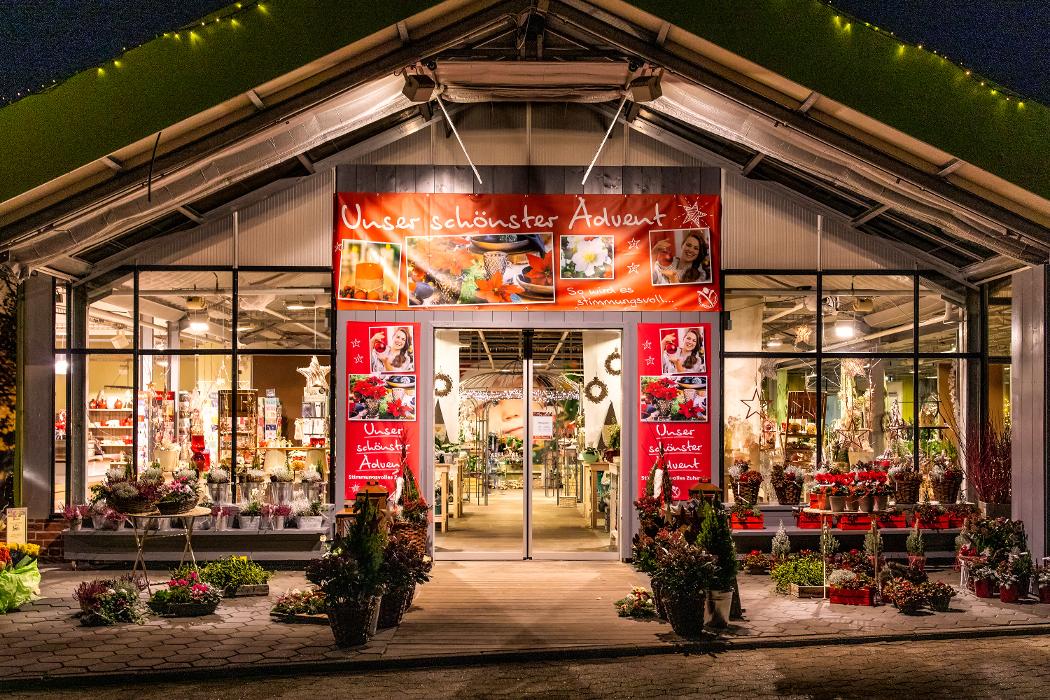 Blumen Seil, Lauenburger Straße in Bleckede