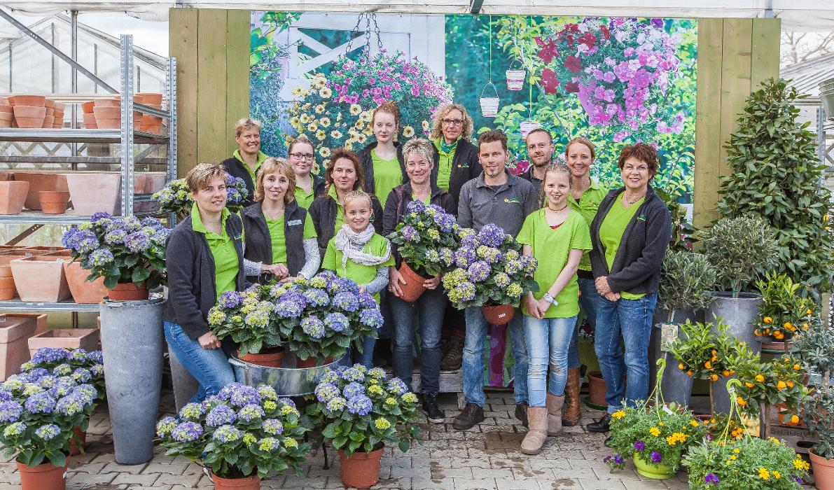 Blumen Seil, Lauenburger Straße in Bleckede