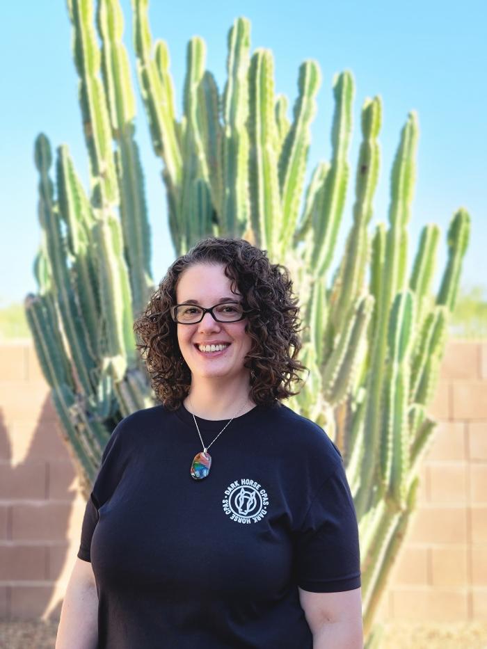 Dark Horse CPAs Image