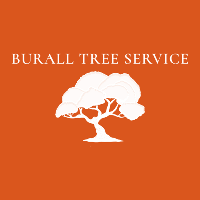 Burall Tree Service - Reeds Spring, MO