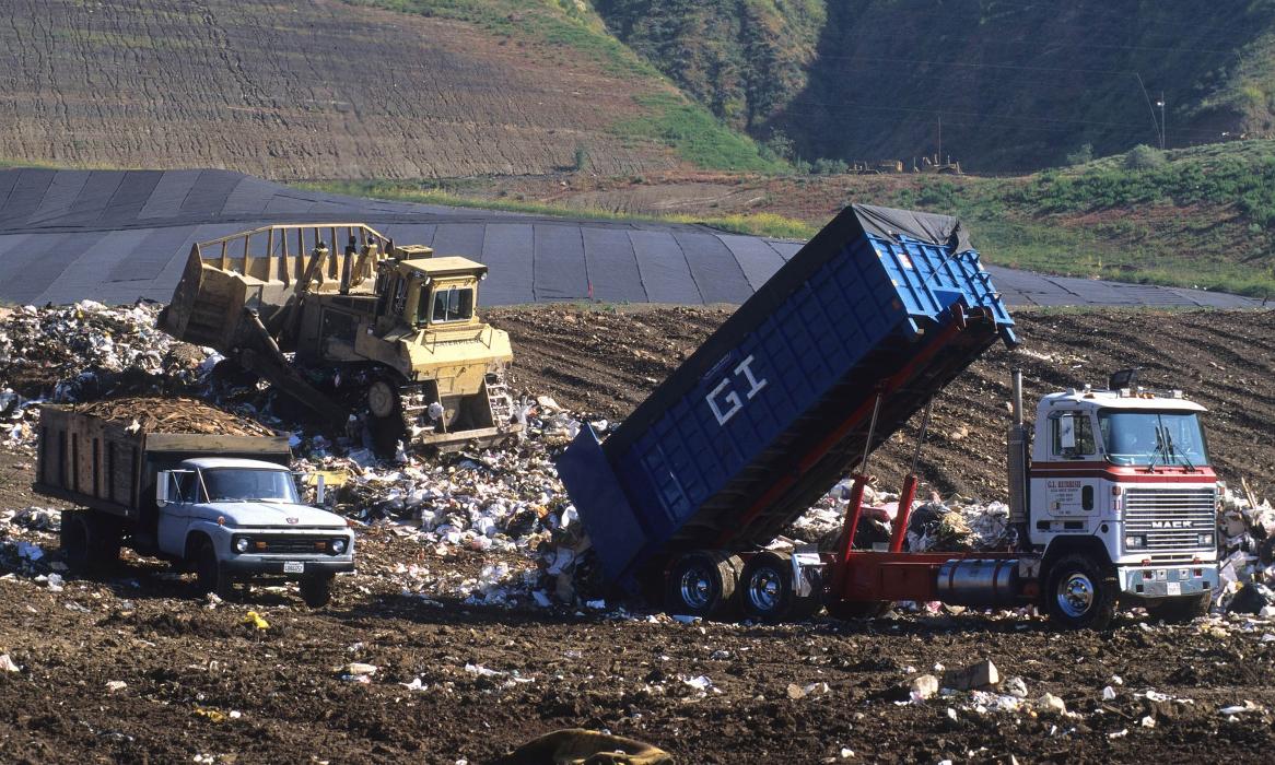 Ruff'N EZ Dumping - Pflugerville, TX