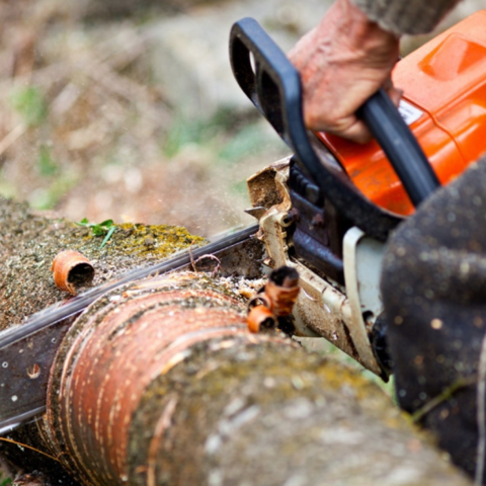 Salas Tree Service - Tucker, GA