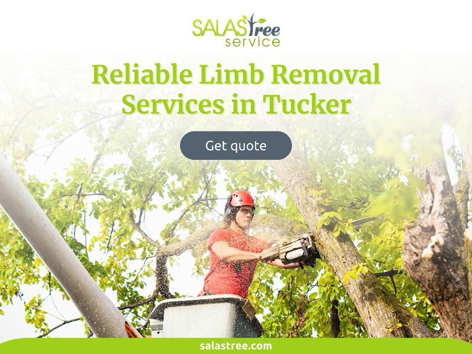 Salas Tree Service - Tucker, GA