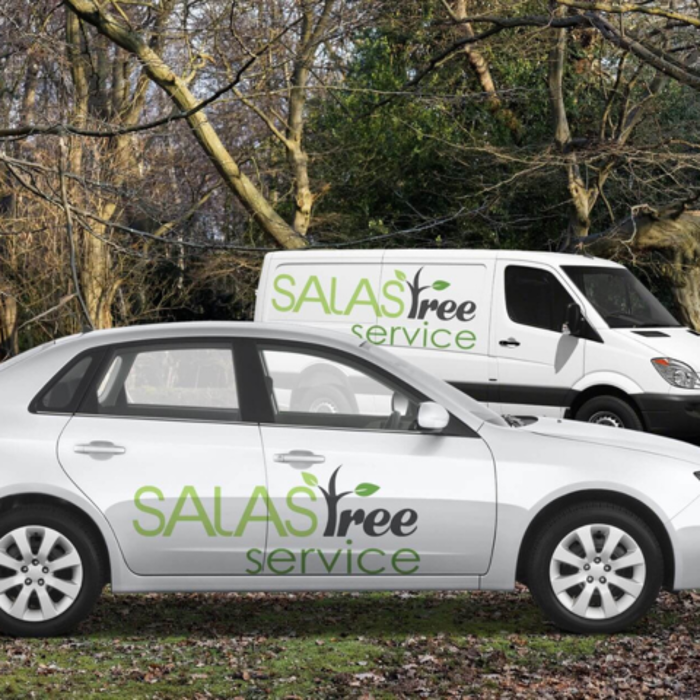 Salas Tree Service - Tucker, GA