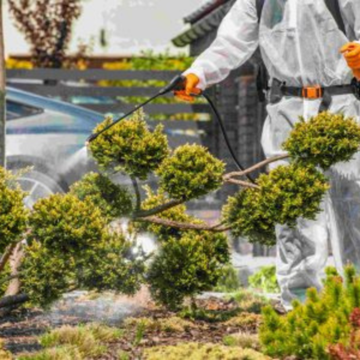 Salas Tree Service - Tucker, GA