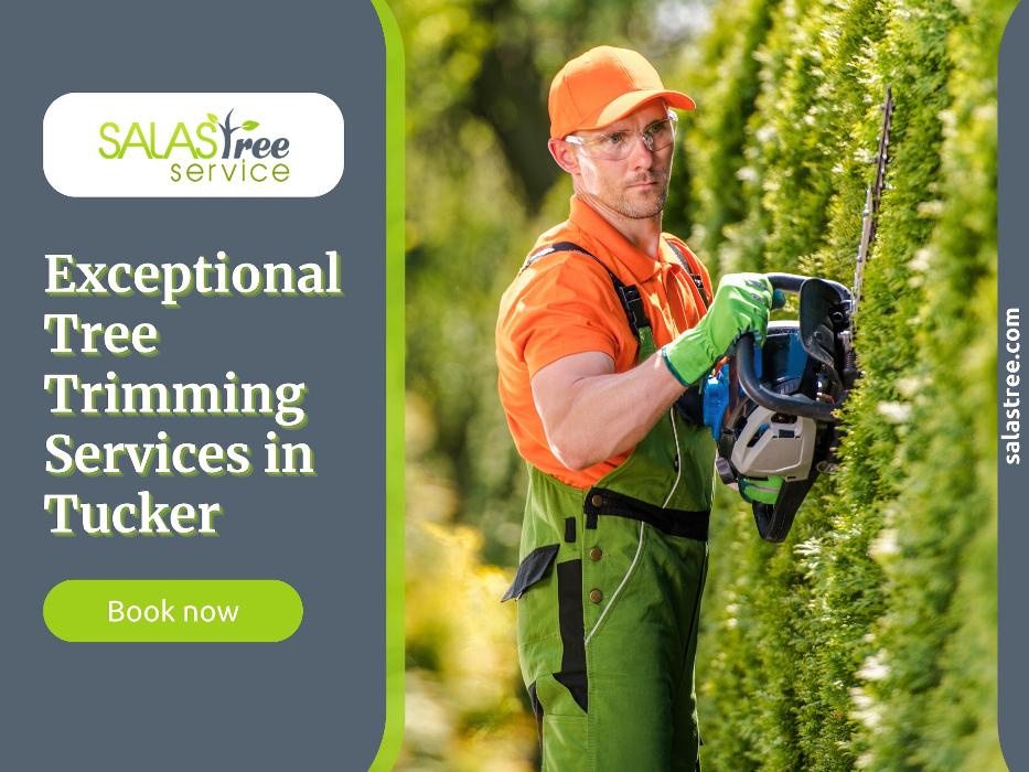 Salas Tree Service - Tucker, GA
