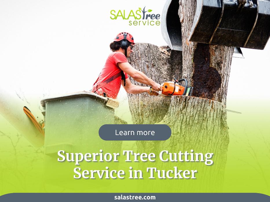 Salas Tree Service - Tucker, GA