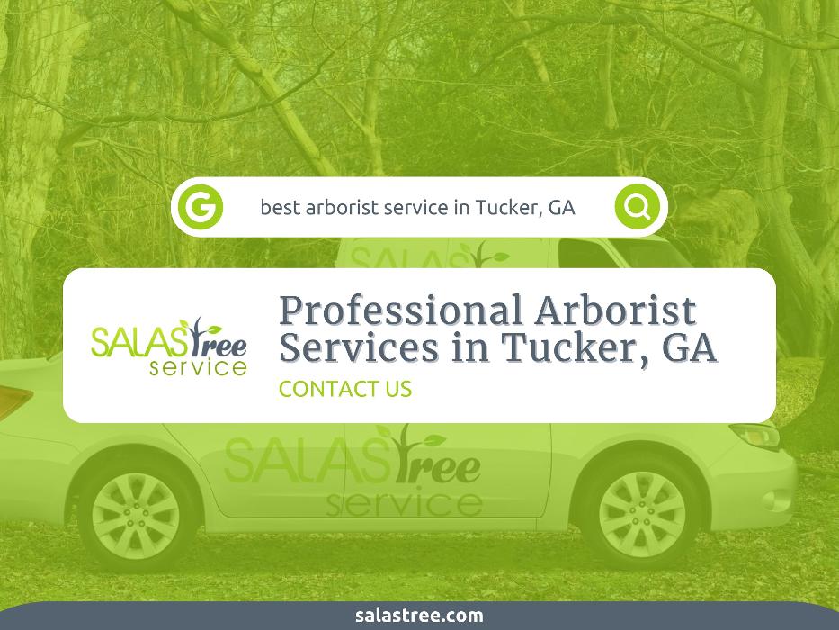 Salas Tree Service - Tucker, GA