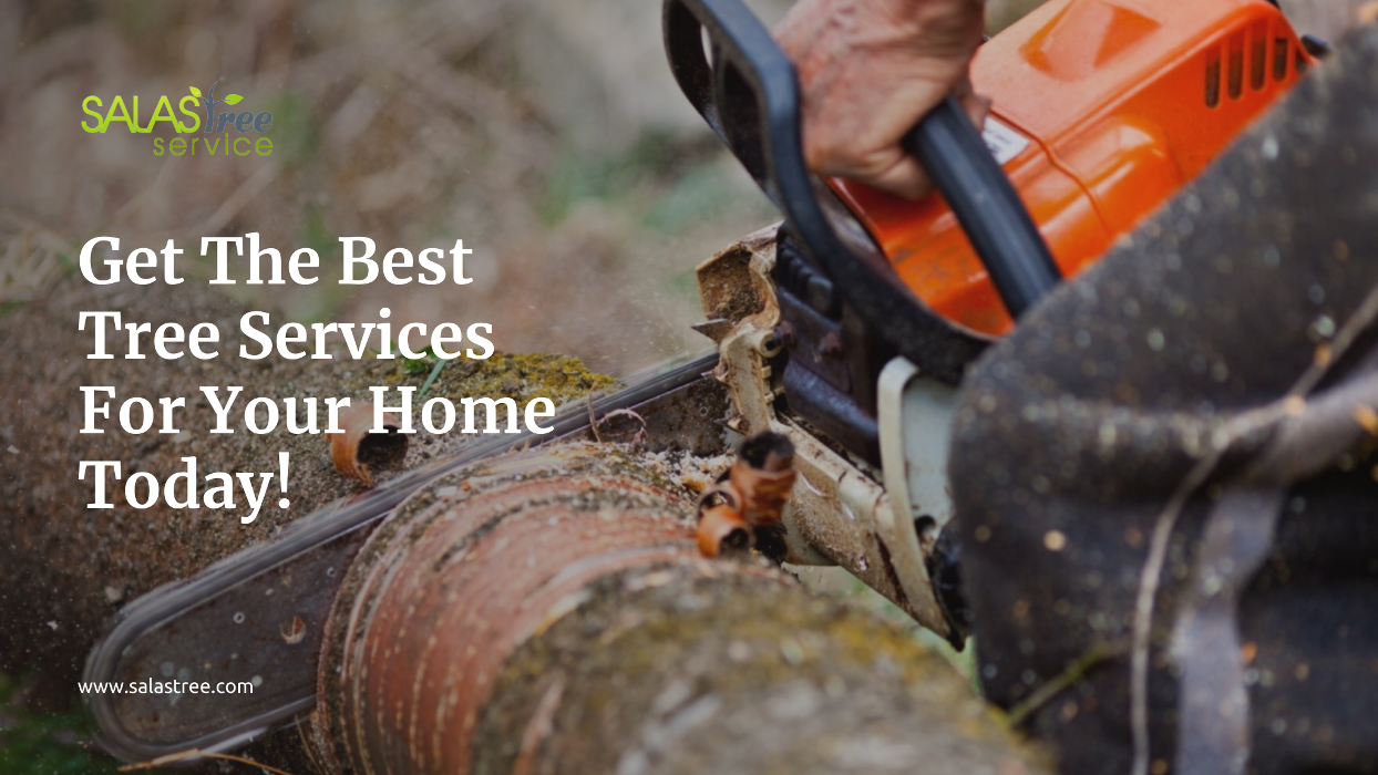 Salas Tree Service - Tucker, GA