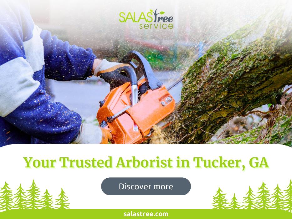 Salas Tree Service - Tucker, GA