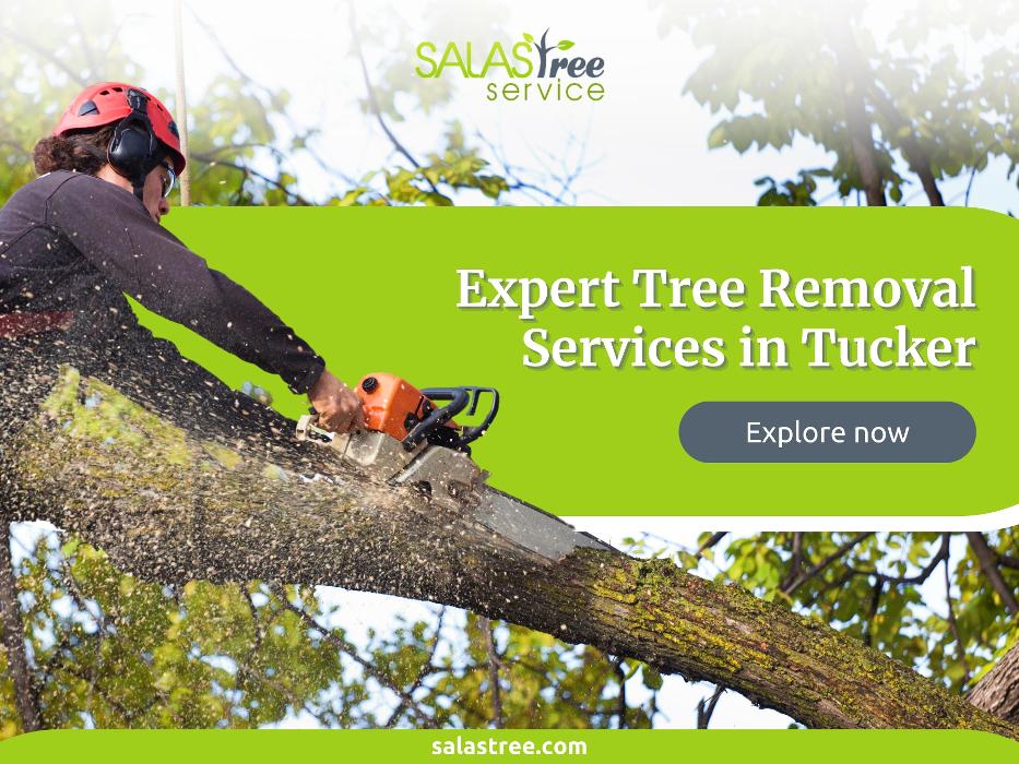 Salas Tree Service - Tucker, GA