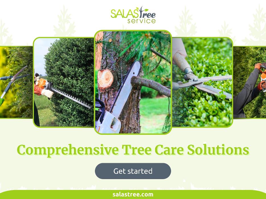 Salas Tree Service - Tucker, GA