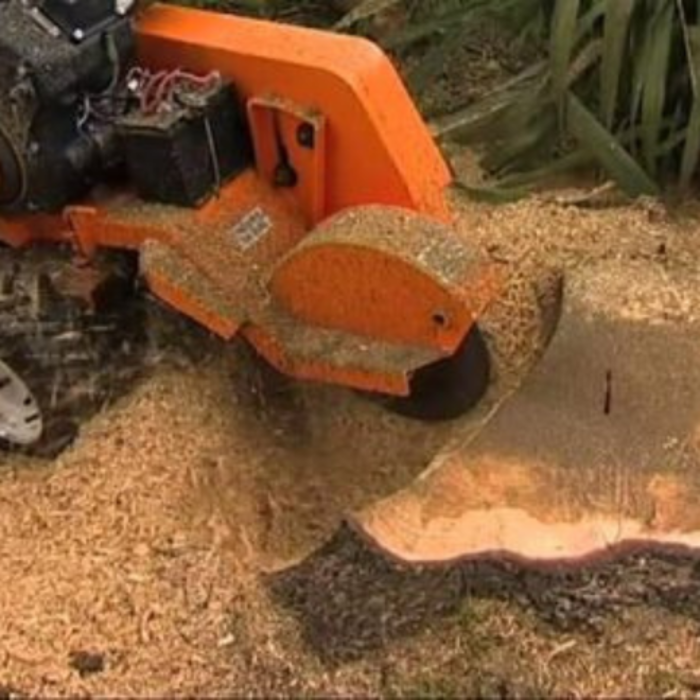 Salas Tree Service - Tucker, GA