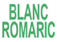 Blanc Romaric Expert