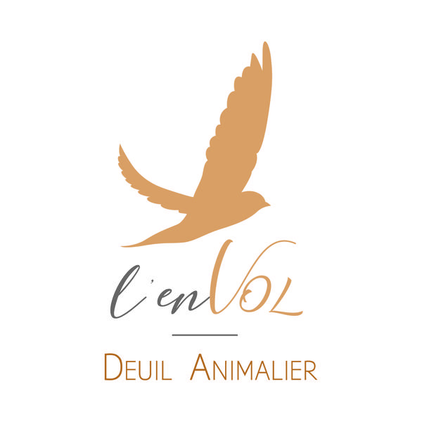 Chiarotto Chantal L'envol psychothérapeute