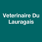 Veterinaire Du Lauragais