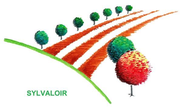 Sylvaloir Forêt Et Paysage Expert