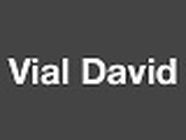 Vial David