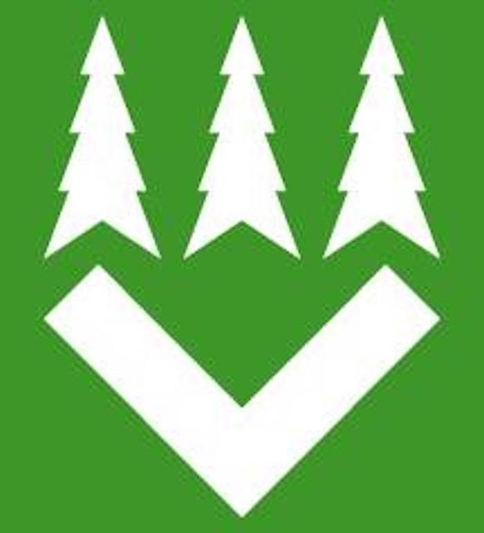 Holzwerk Vitzthum in Unken