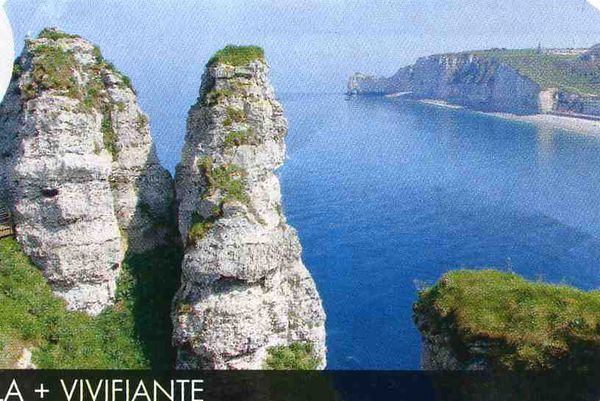 Allo Sainte Adresse Taxi taxi