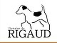 DOMAINE DE RIGAUD chenil, pension pour chiens et chats