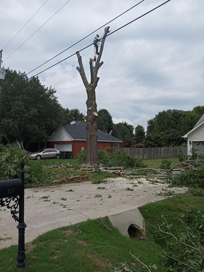 Chief Tree Service - Huntsville, AL