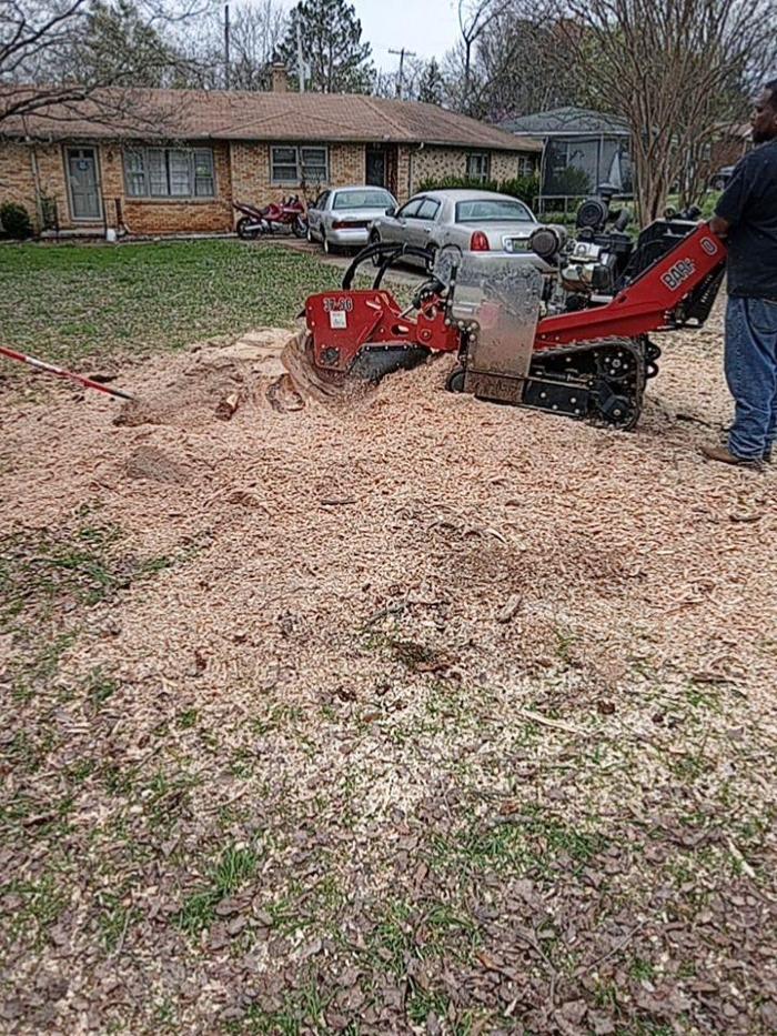 Chief Tree Service - Huntsville, AL