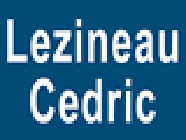 Lezineau SARL électricité (production, distribution, fournitures)