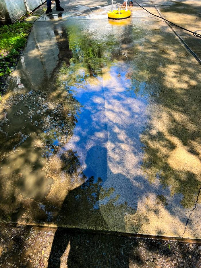 The Sud Studs - Saginaw, MI